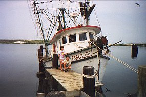 Alabama Sea Shore
